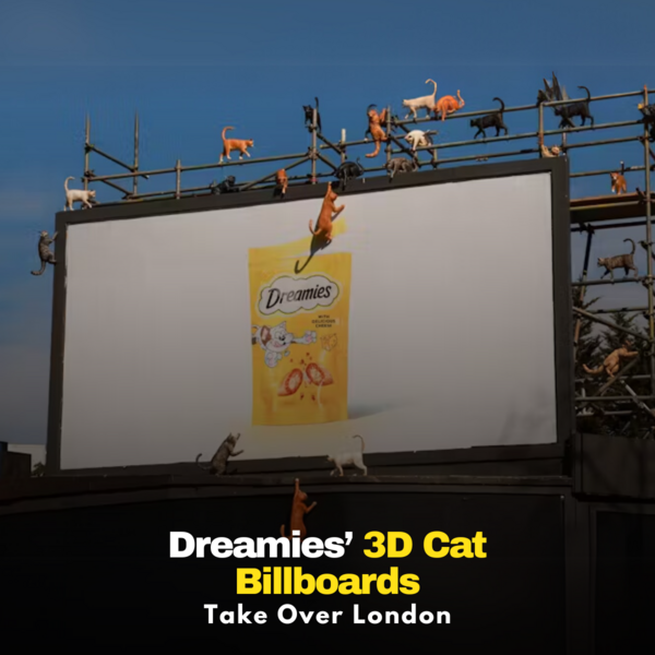 Celebrating Thanksgiving