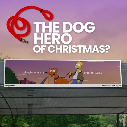 Simpsons Help Rehome Thousands Of Retired Greyhounds