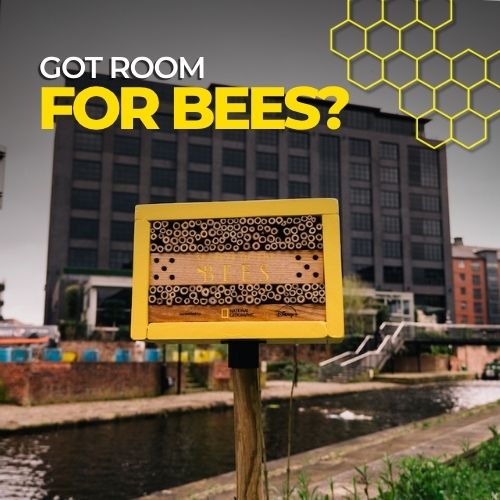 National Geographic Turns OOH Into Bee Habitat