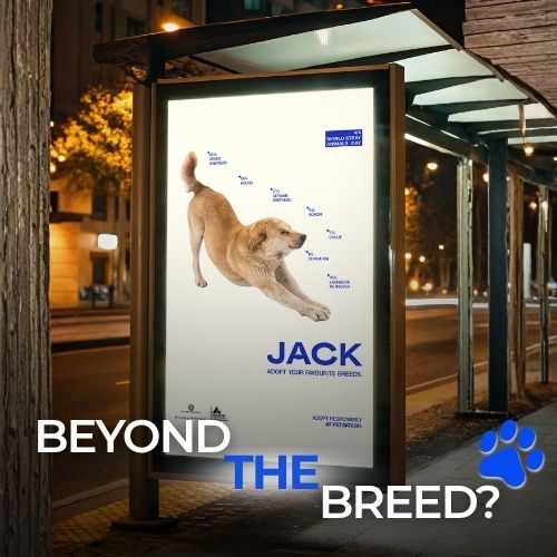 100% Yours: Redefining Pet Adoption Through Design