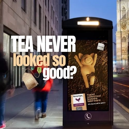 Teapigs Launches ‘Tea In All Its Glory’