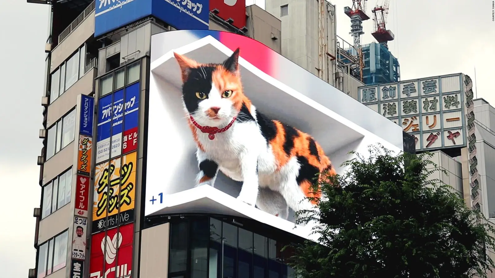 Panorámico 3D El Gato de Shinjuku