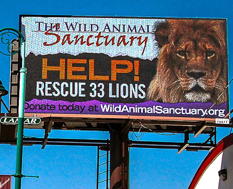 Digital Billboard Advertising, The Wild Animal Sanctuary, Help Rescue 33 Lions, Donate Today